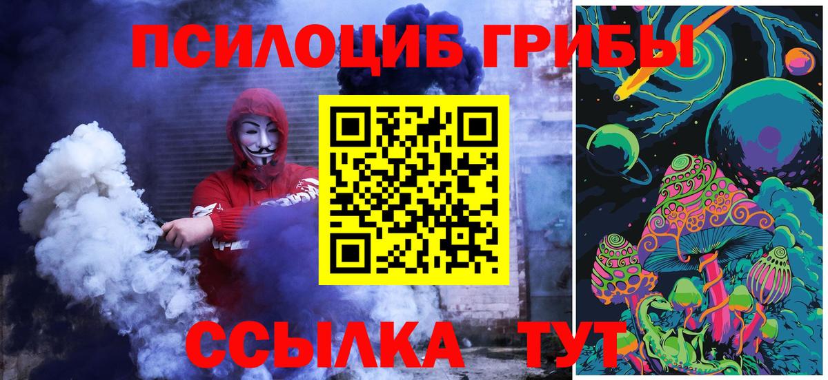 Галлюциногенные грибы мухоморы Артёмовский