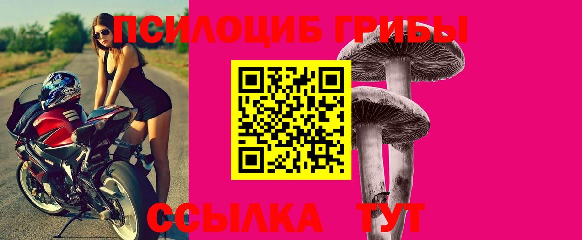 Артёмовский  Псилоцибиновые грибы MAGIC MUSHROOMS  Вход с VPN 